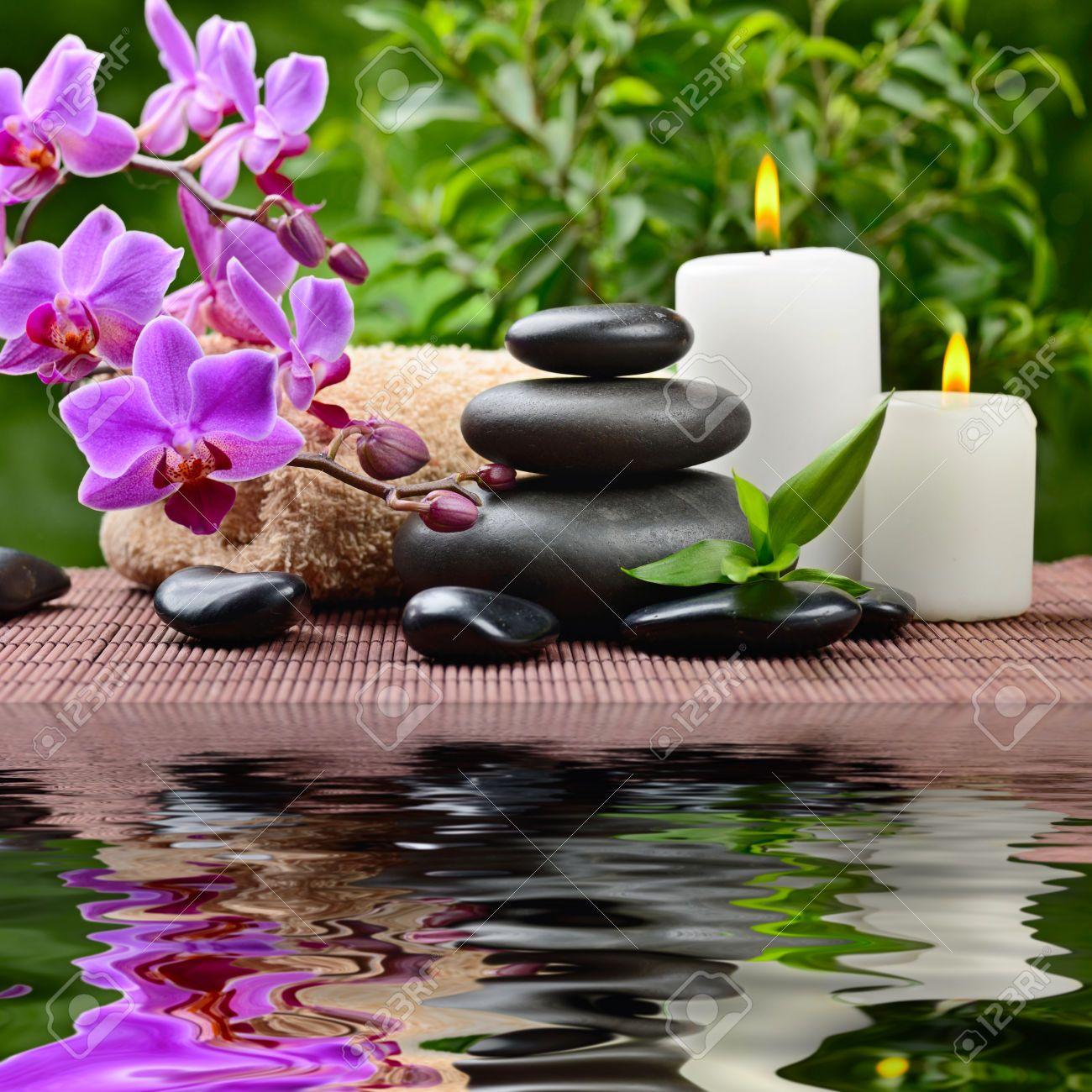 1300x1300 Image Zen