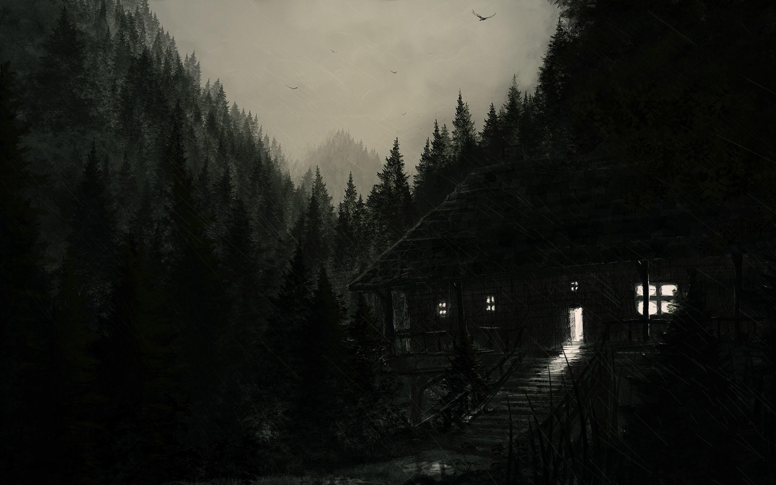 2560x1600 4k Woods Wallpaper