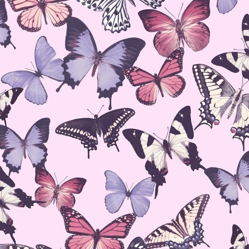 1000x1000 Butterfly Pattern