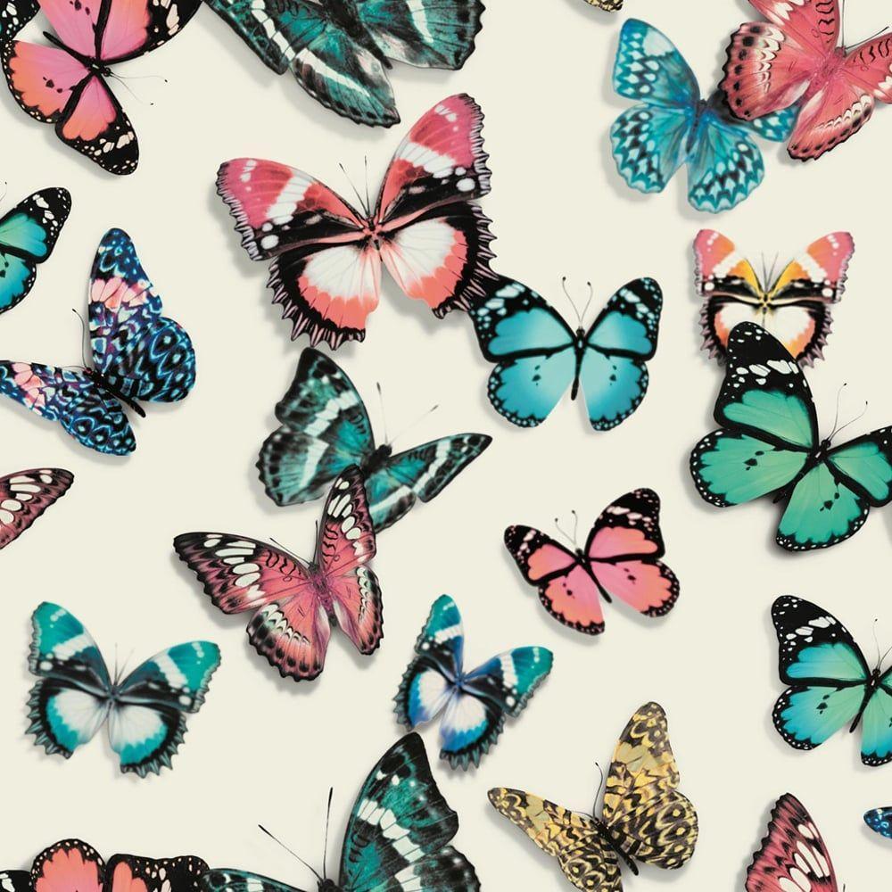 1000x1000 Butterfly Picture Wallpaper