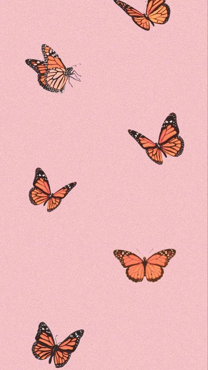 675x1200 patterns. Butterfly wallpaper iphone, Butterfly wallpaper, Cute patterns wallpaper