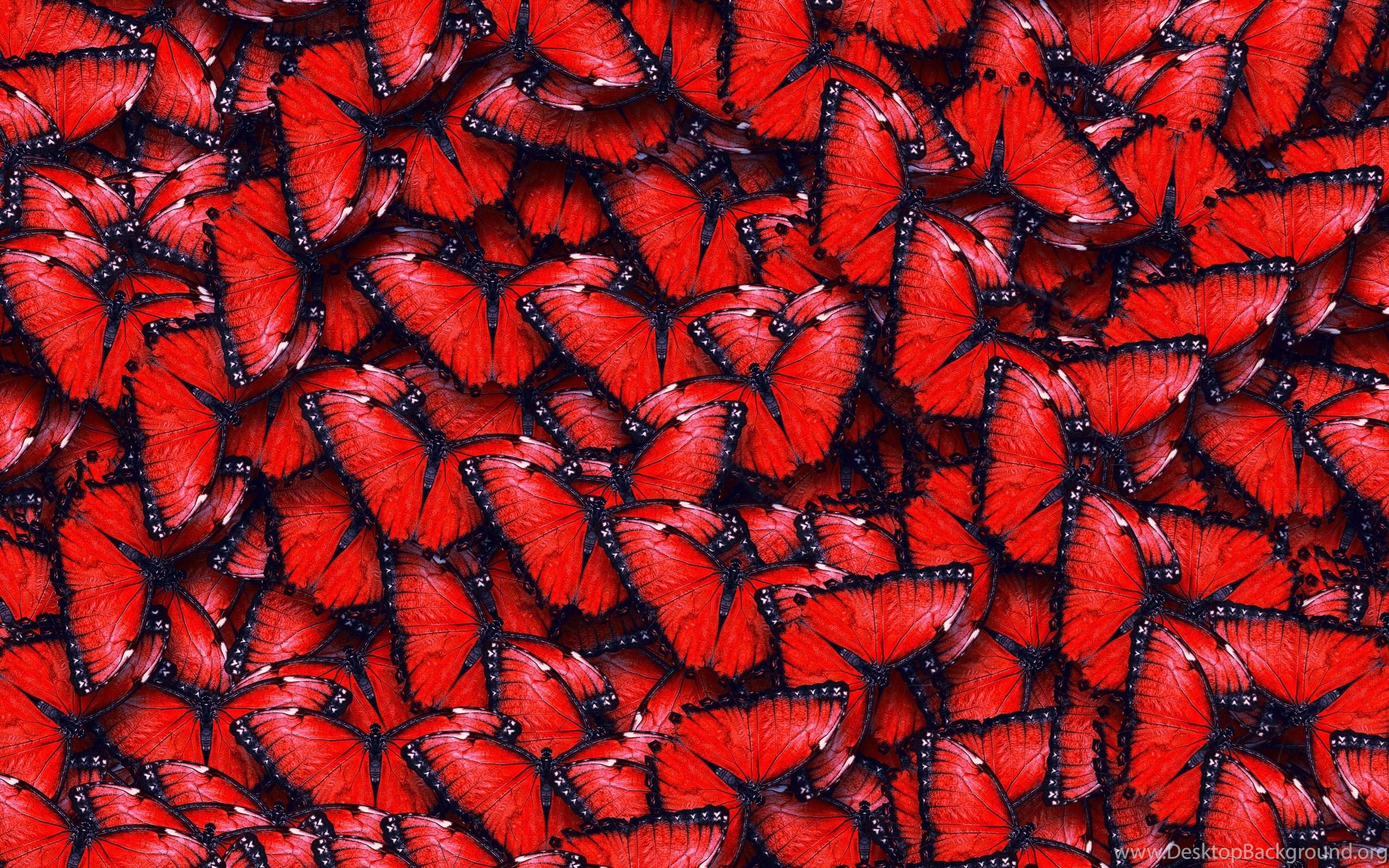 2560x1600 Red Butterfly Pattern Wallpaper Desktop Background