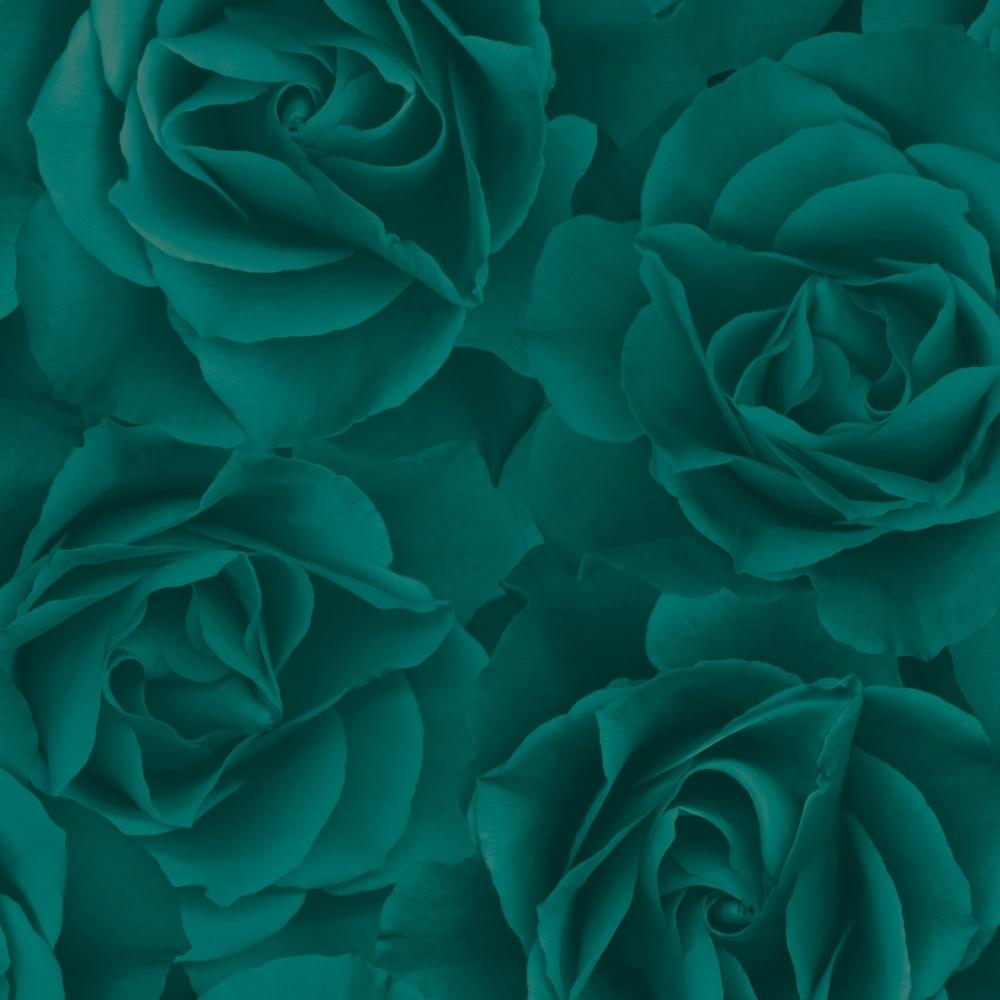 Discover 75+ Teal Rose Wallpaper Best - 3tdesign.edu.vn