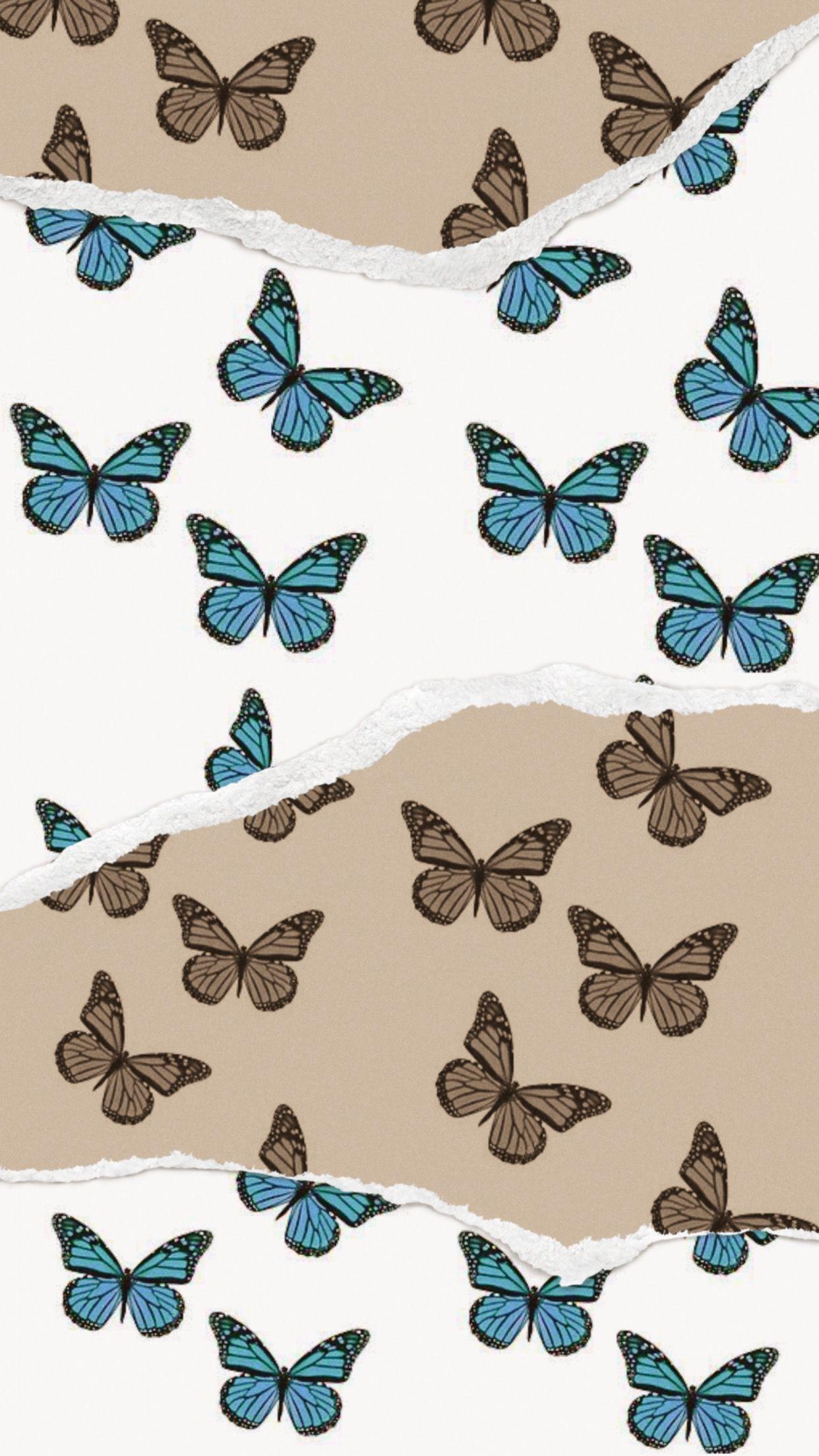 1242x2208 Blue butterflies. Wallpaper iphone boho, Butterfly wallpaper, Cute patterns wallpaper