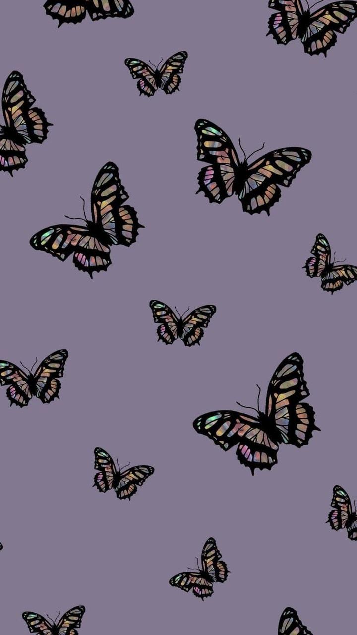 720x1280 image about Butterfly Wallpaper. See more about butterfly, wallpaper and background