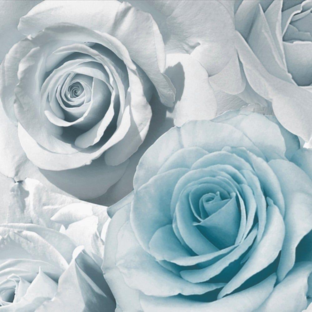 Teal Rose Wallpapers Top Free Teal Rose Backgrounds Wallpaperaccess