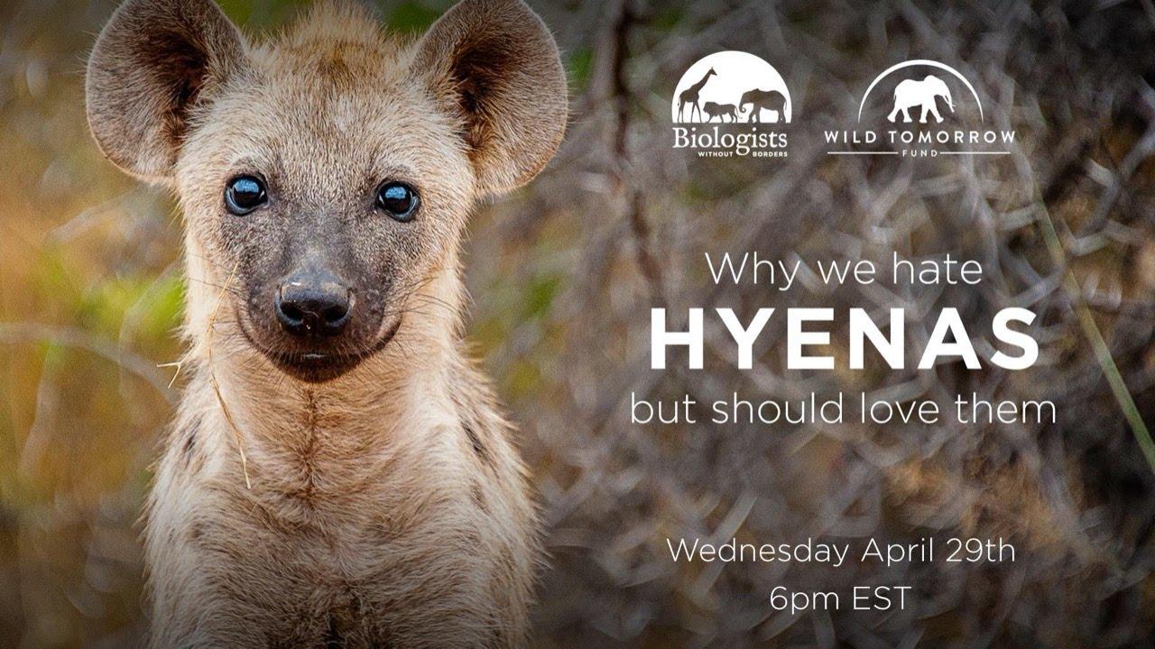 1280x720 AMAZING FACTS ABOUT HYENA