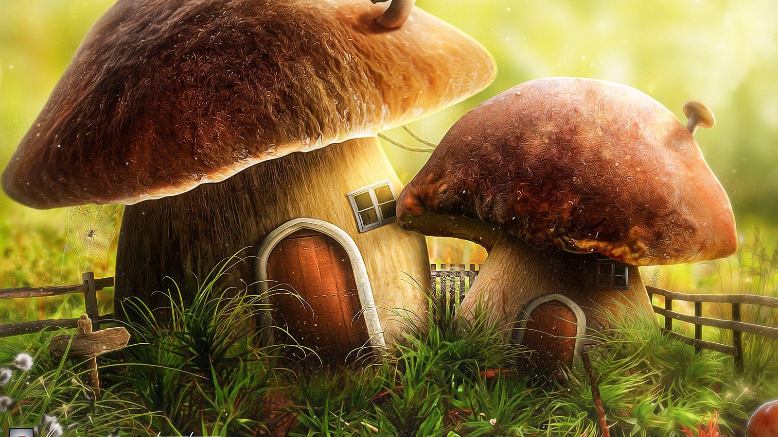 1600x900 Download wallpaper 1600x900 mushroom, house, door, art widescreen 16:9 HD background