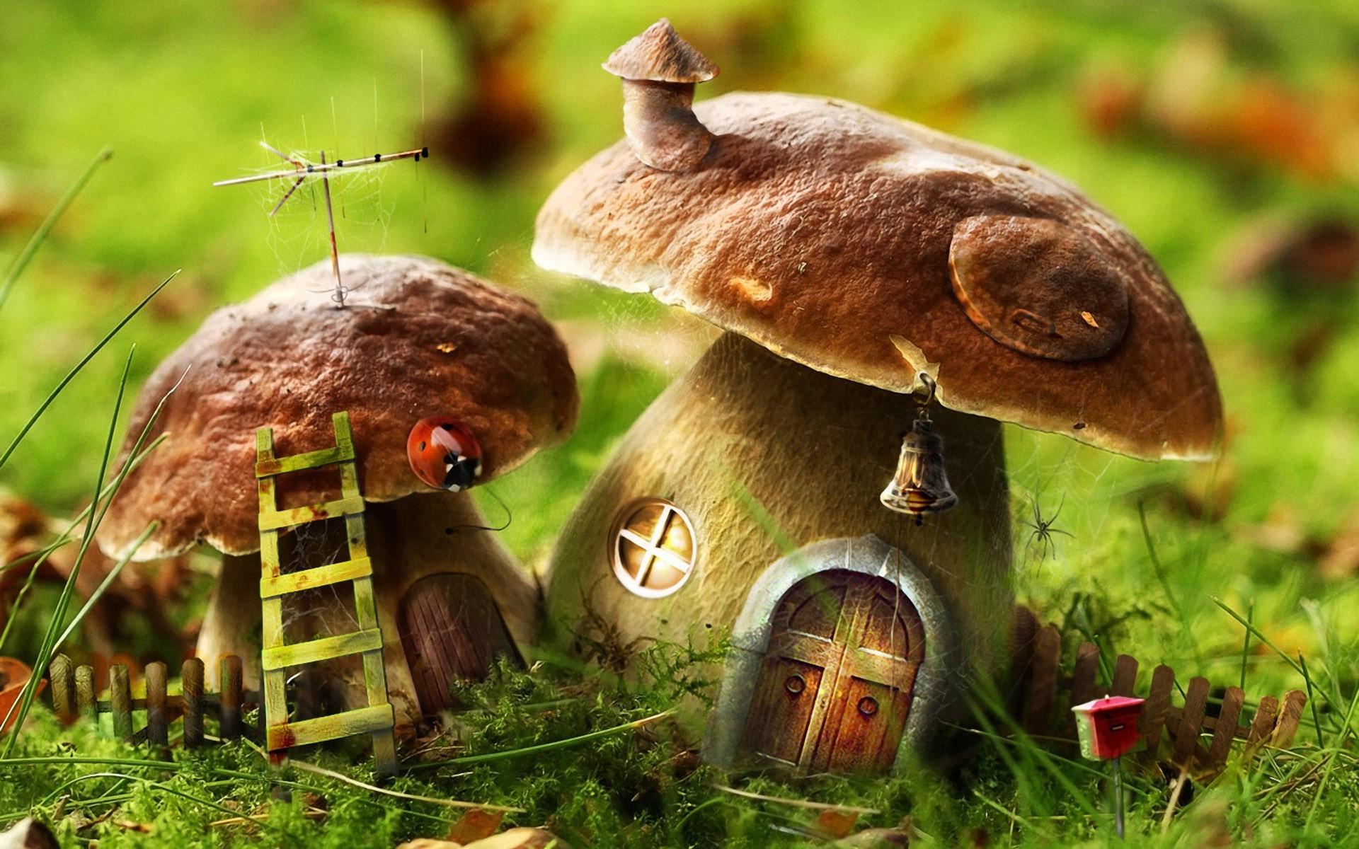 1920x1200 mushroom, House, Nature, Digital Art Wallpaper HD / Desktop and Mobile Background