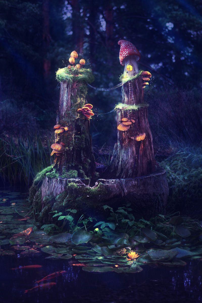 800x1200 Art