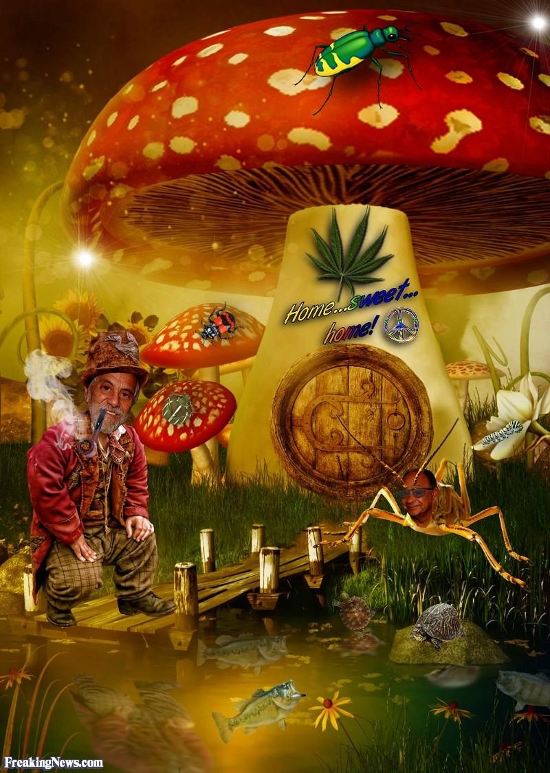 800x1125 Cheech And Chong At Their Mushroom House