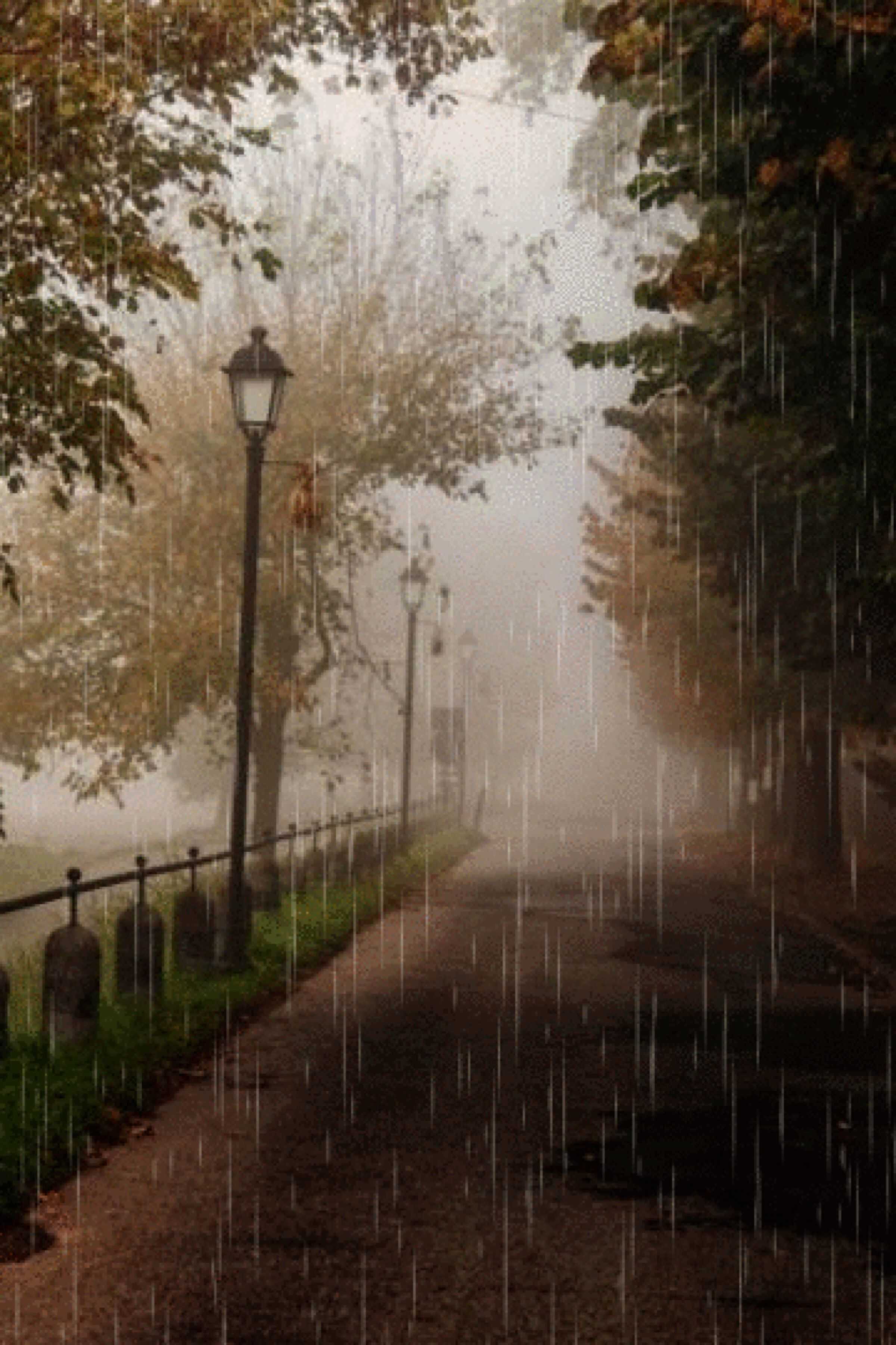 2400x3600 4K Rain Wallpaper