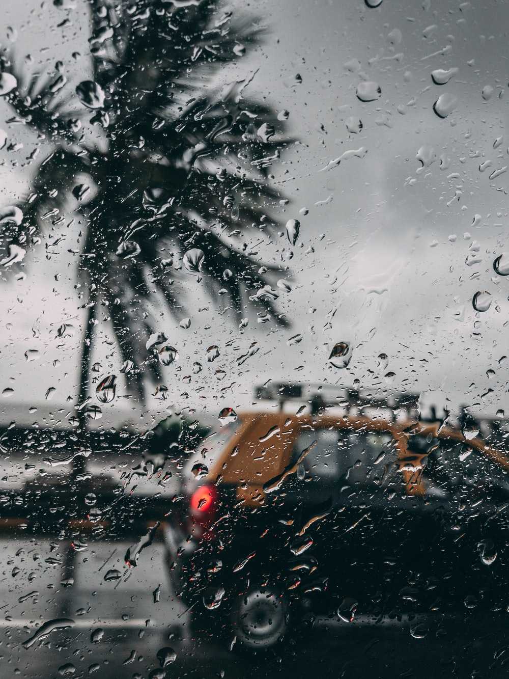 1000x1333 4K Rain Wallpaper Free HD Wallpaper