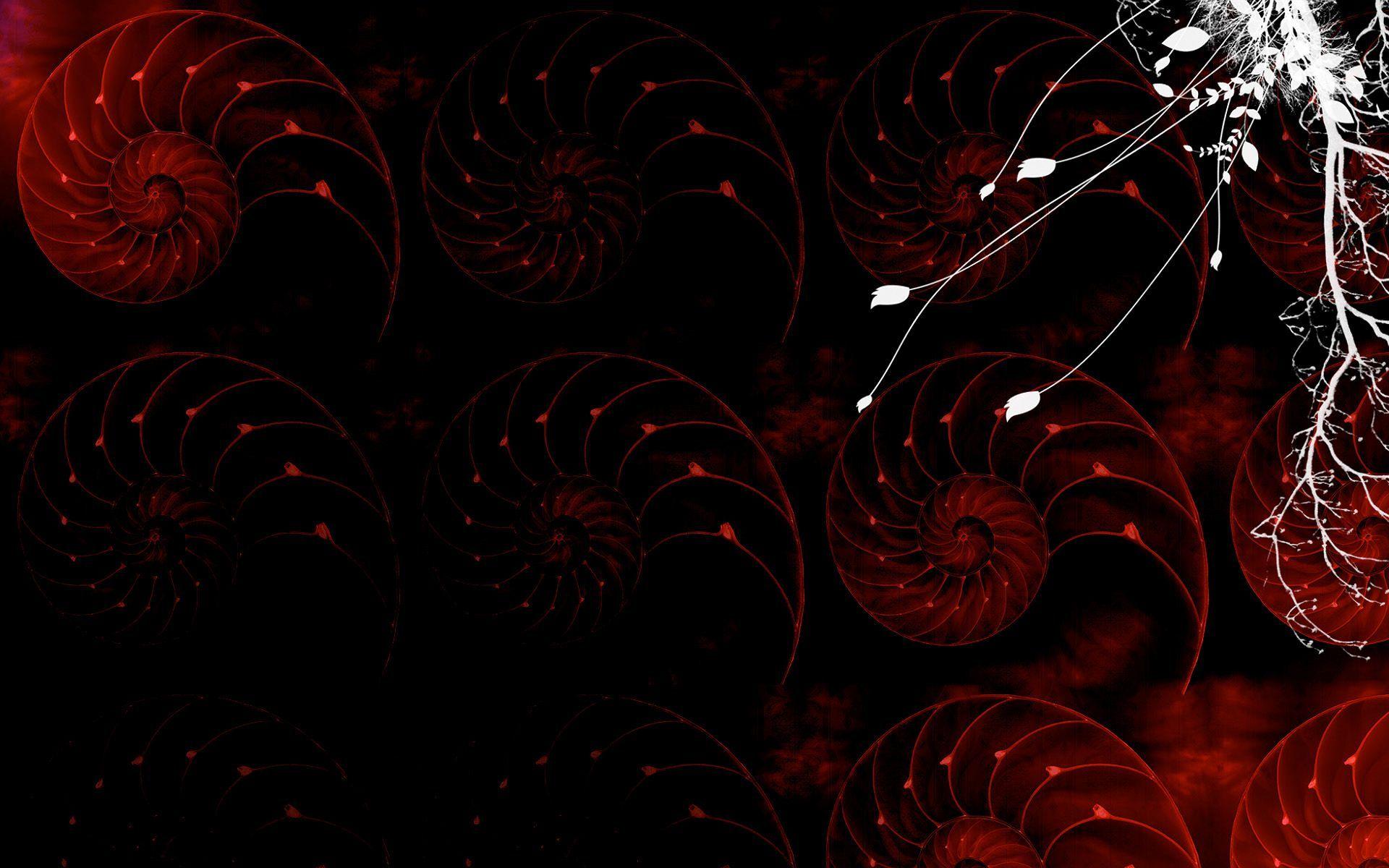 1920x1200 Google Image Result For Uploads Fine Art 4786 Graphic Design Widescreen W. Graphic Design Wallpaper, Abstract Graphic Design, Abstract Art Download