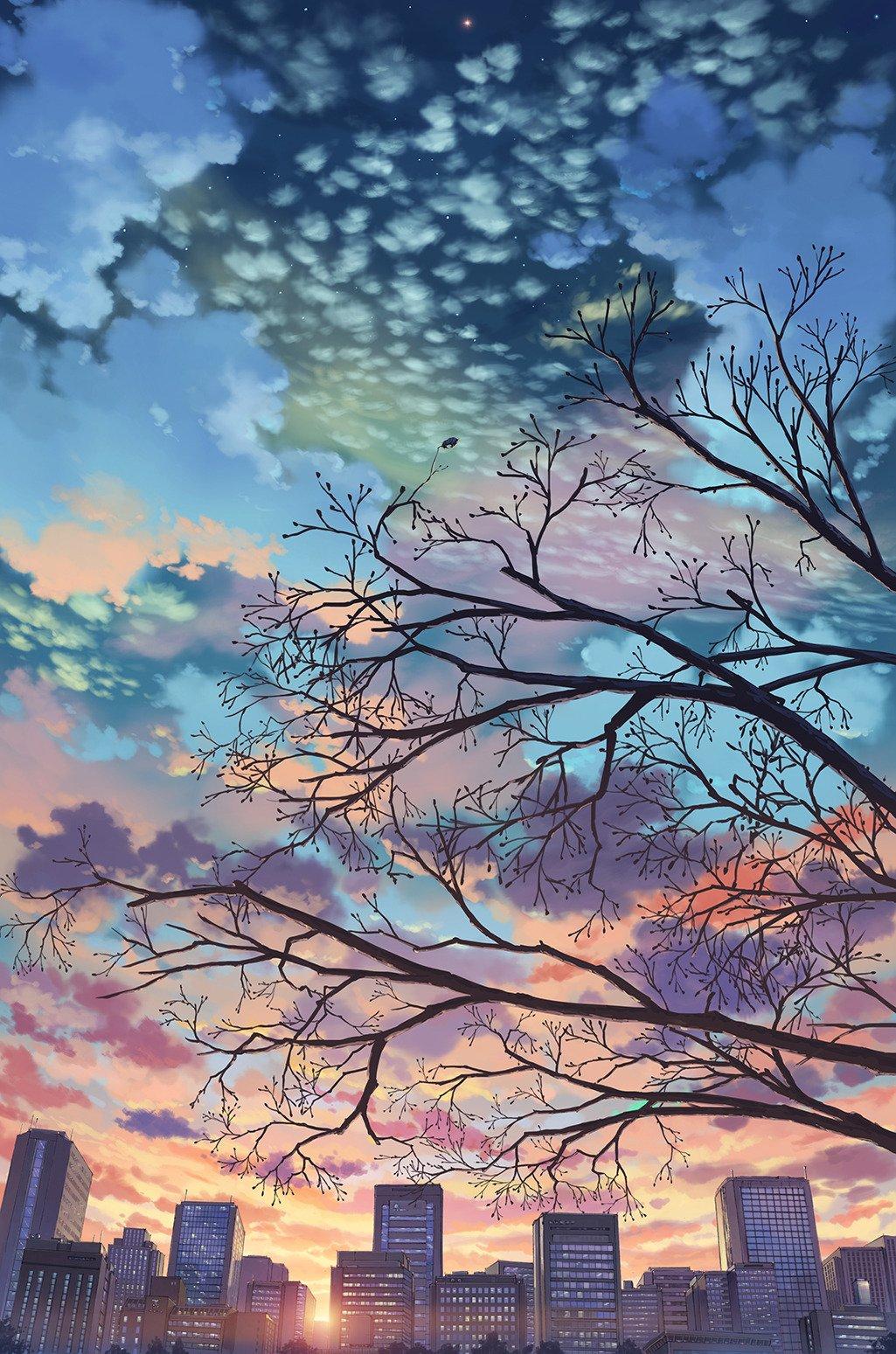 1025x1549 