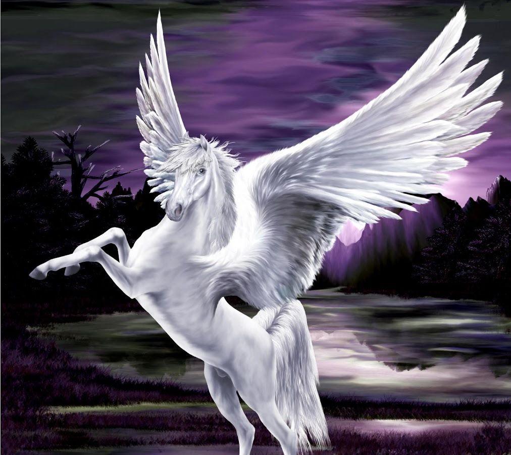1012x900 Unicorn & Pegasus Wallpaper HD 1.0 APK Download