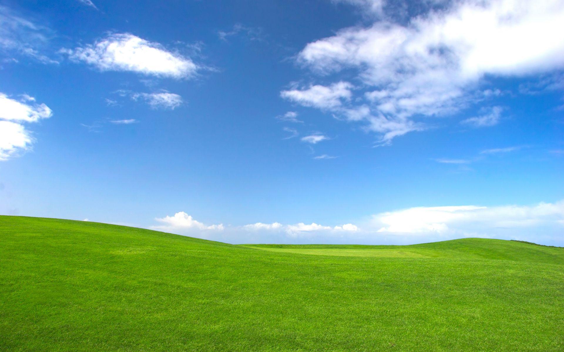 Windows XP Grass Wallpapers - Top Free Windows XP Grass Backgrounds ...