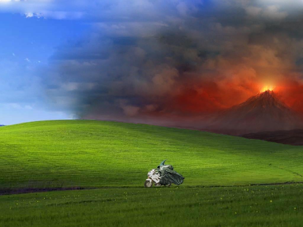 Windows XP Grass Wallpapers Top Free Windows XP Grass Backgrounds