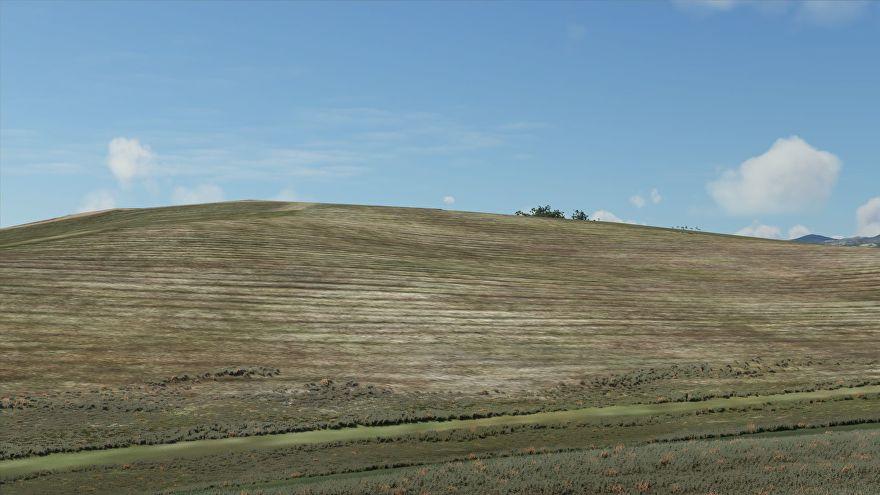 Windows XP Grass Wallpapers - Top Free Windows XP Grass Backgrounds ...