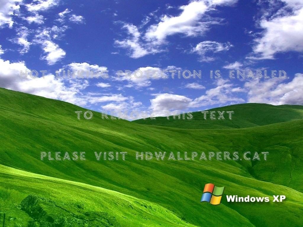 Windows XP Grass Wallpapers - Top Free Windows XP Grass Backgrounds