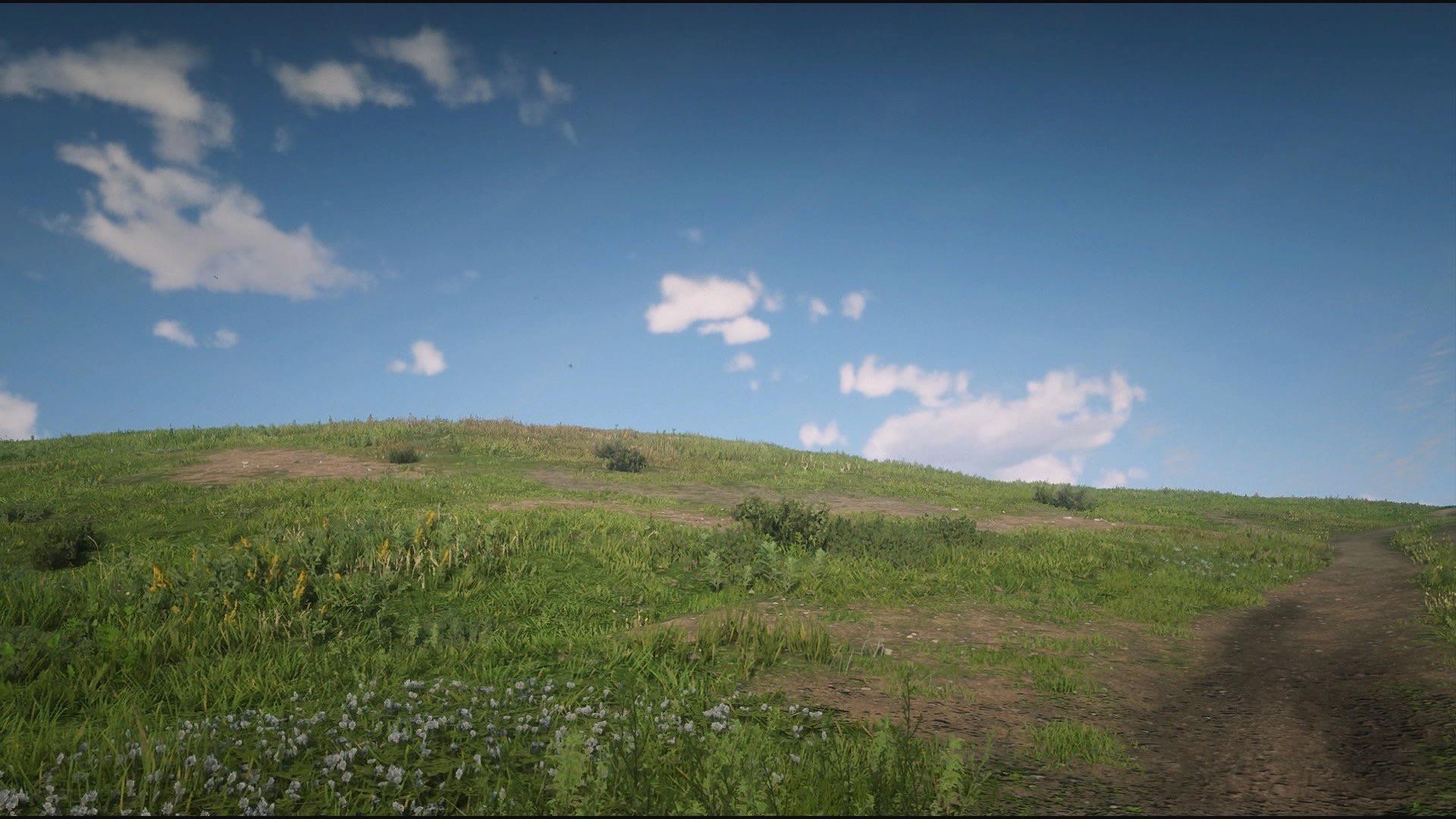 Windows XP Grass Wallpapers - Top Free Windows XP Grass Backgrounds ...