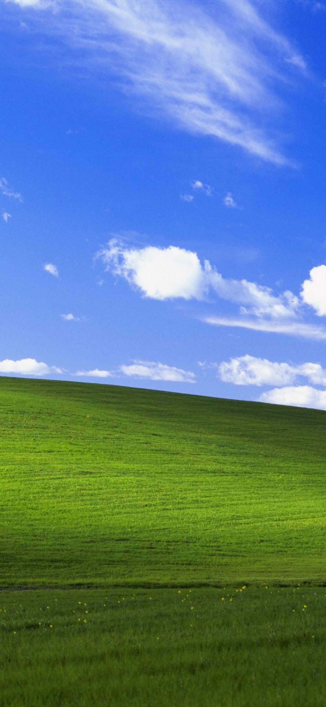 1125x2436 Windows XP
