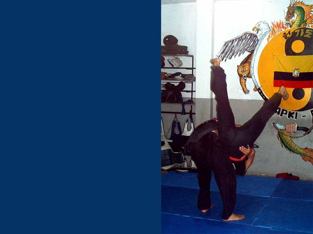 1024x768 Wallpaper Hapkido