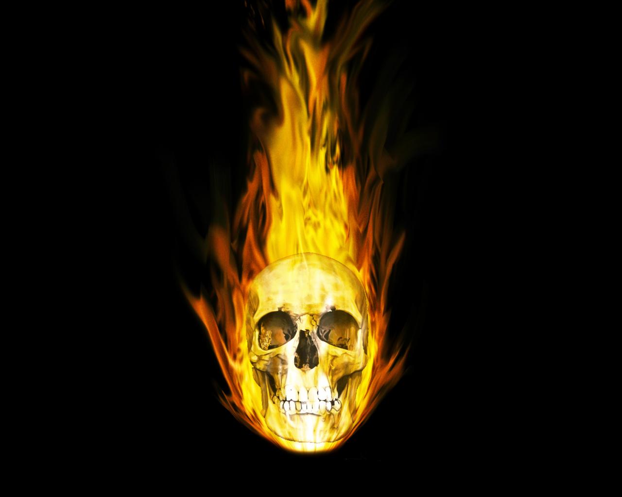 1280x1024 Free download Ghost Rider Skull Wallpaper [1900x1200] for your Desktop, Mobile & Tablet. Explore Ghost Rider Skull Wallpaper. Ghost Rider Skull Wallpaper, Ghost Rider Wallpaper, Ghost Rider Wallpaper
