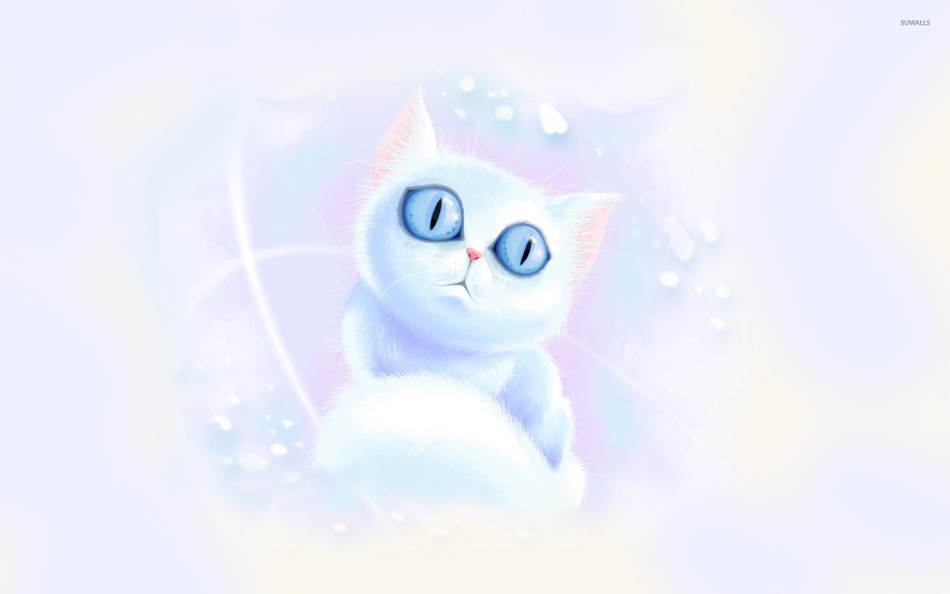 1920x1200 White kitten with blue eyes wallpaper wallpaper