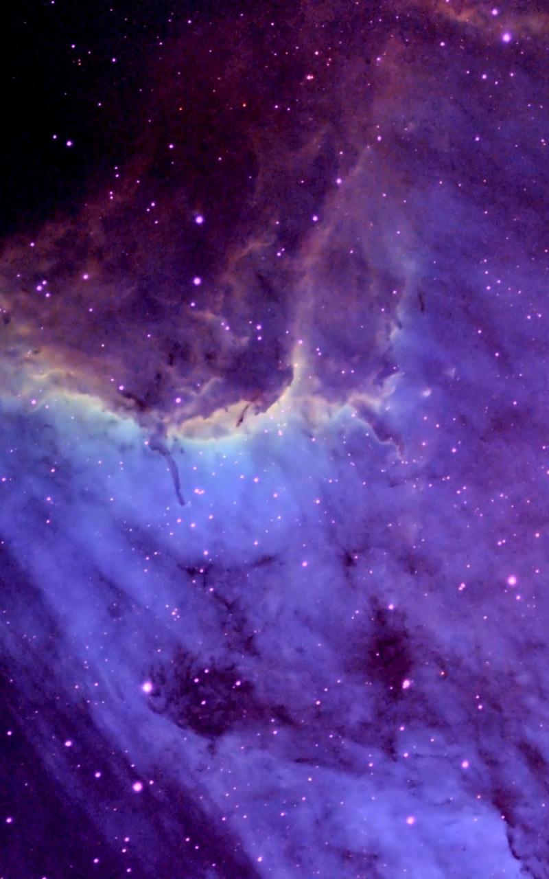 800x1280 Wallpaper Pelican Nebula 4k, Purple And Black Galaxy • Wallpaper For You HD Wallpaper For Desktop & Mobile