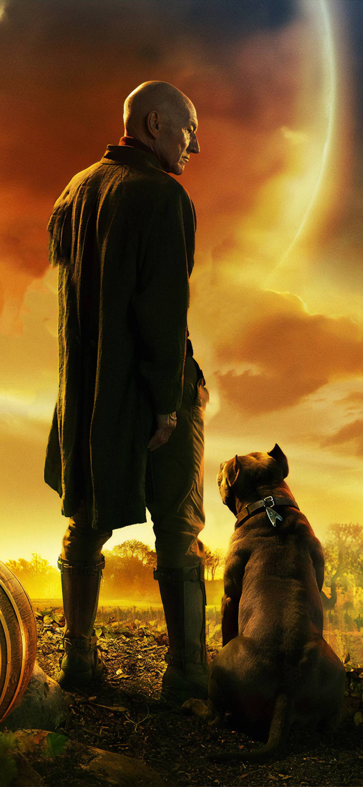 1242x2688 Star Trek Picard iPhone XS MAX Wallpaper, HD TV Series 4K Wallpaper, Image, Photo and Background