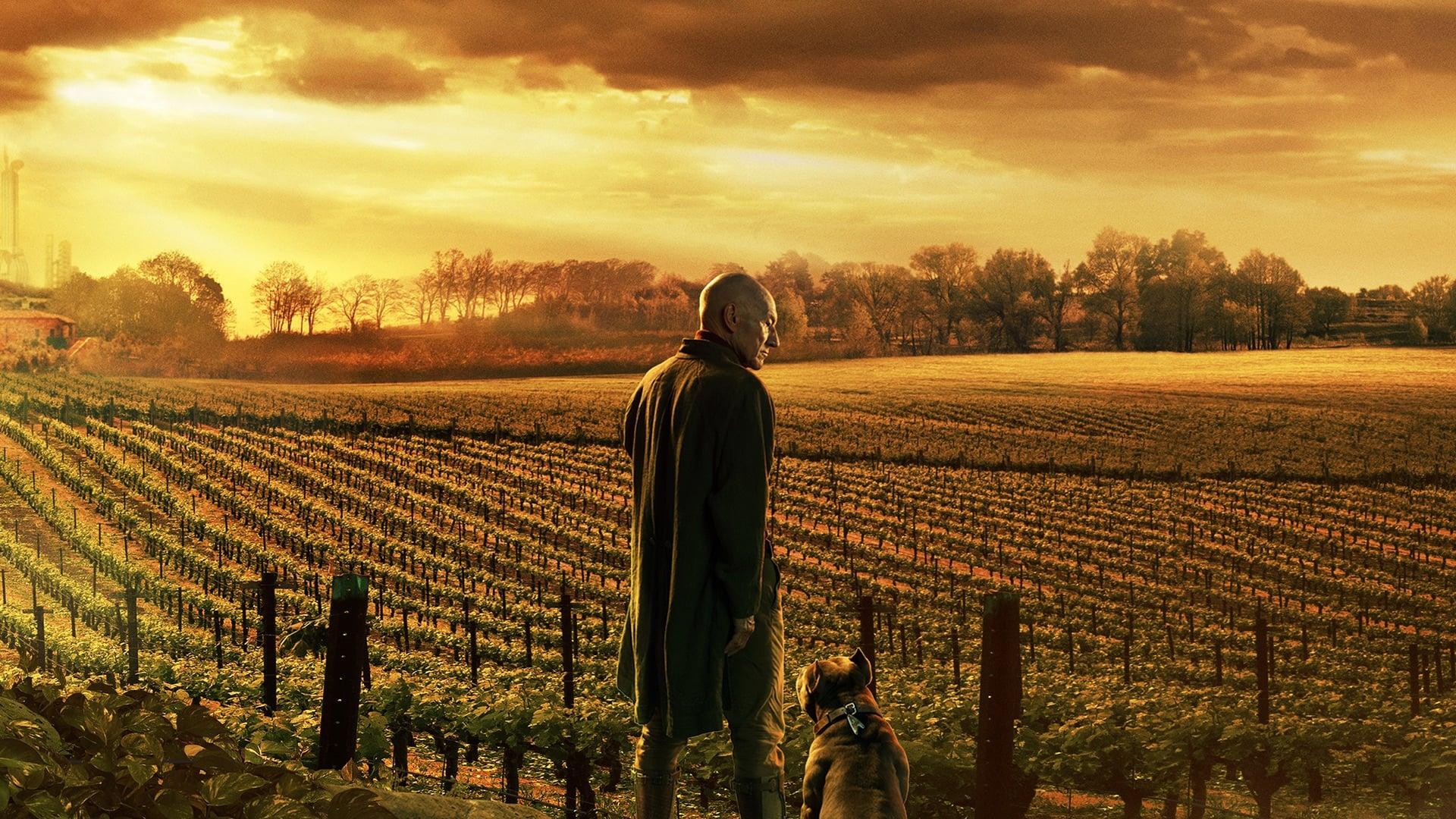 1920x1080 Star Trek: Picard (TV Series 2020- )