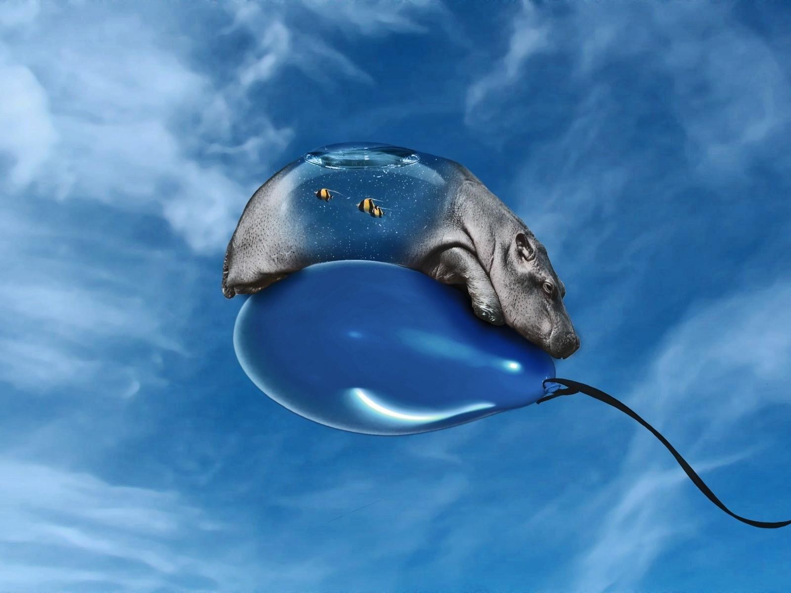 1600x1200 wtf funny digital art 1600x1200 wallpaper High Quality Wallpaper, High Definition Wallpaper