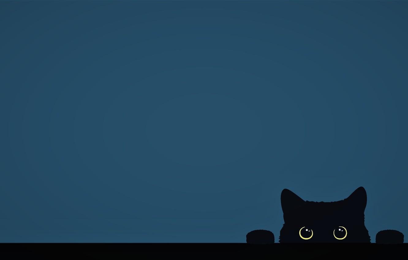 1332x850 Free download Wallpaper minimalism Cat funny digital art artwork cute [1332x850] for your Desktop, Mobile & Tablet. Explore Funny Background Pics. Fun Wallpaper For Desktop, Funny Wallpaper For Desktop