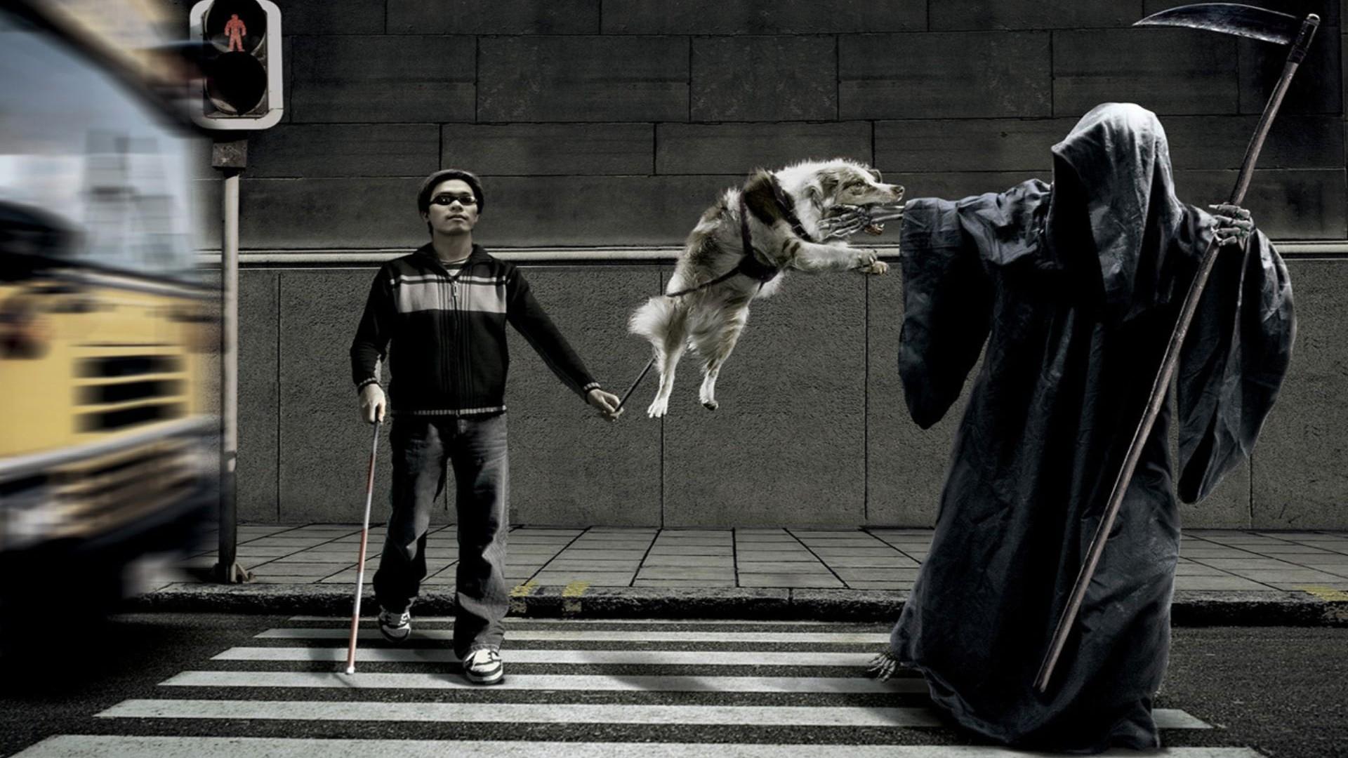 1920x1080 Funny Wallpaper 13 Wallpaper HD