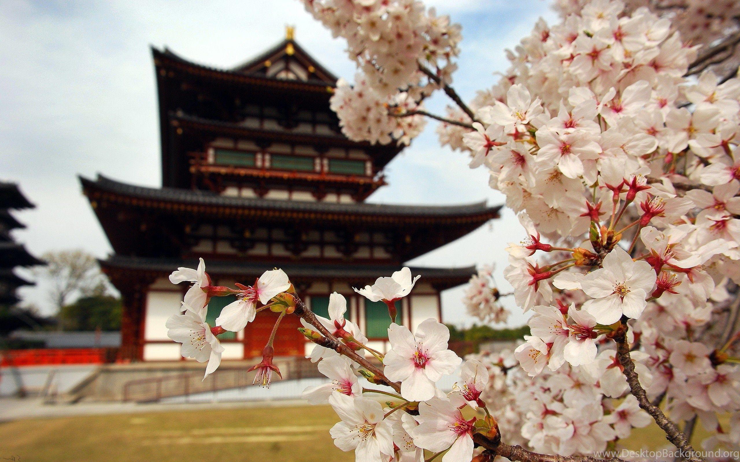 2560x1600 Japan Wallpaper For iPhone Kemecer.com Desktop Background