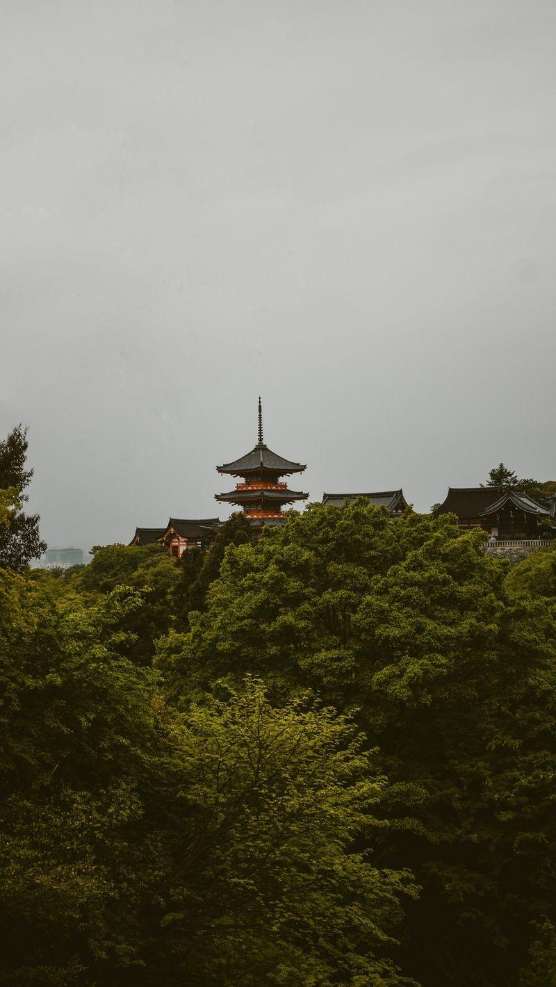 800x1420 Download wallpaper 800x1420 pagoda, trees, architecture, kyoto