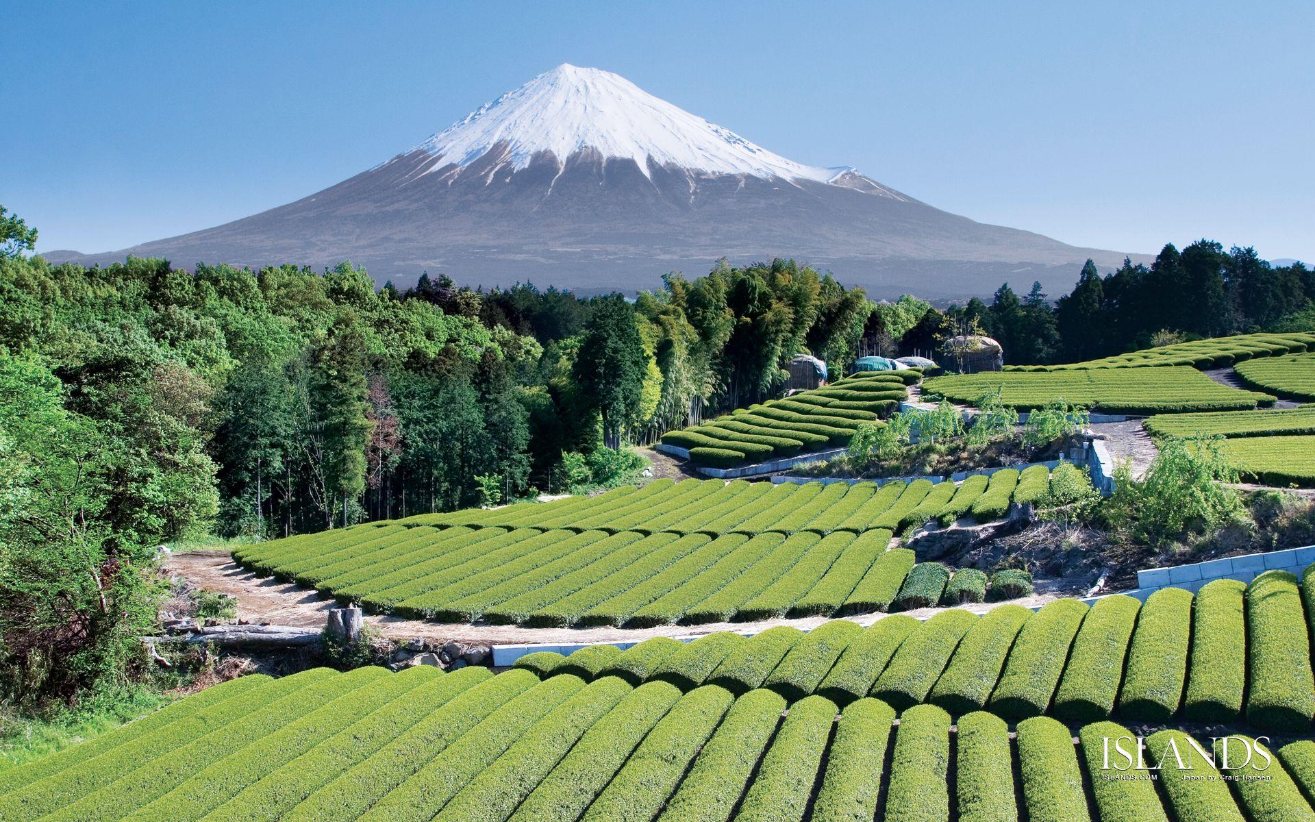 1920x1200 Mount Fuji Japan Wallpaper