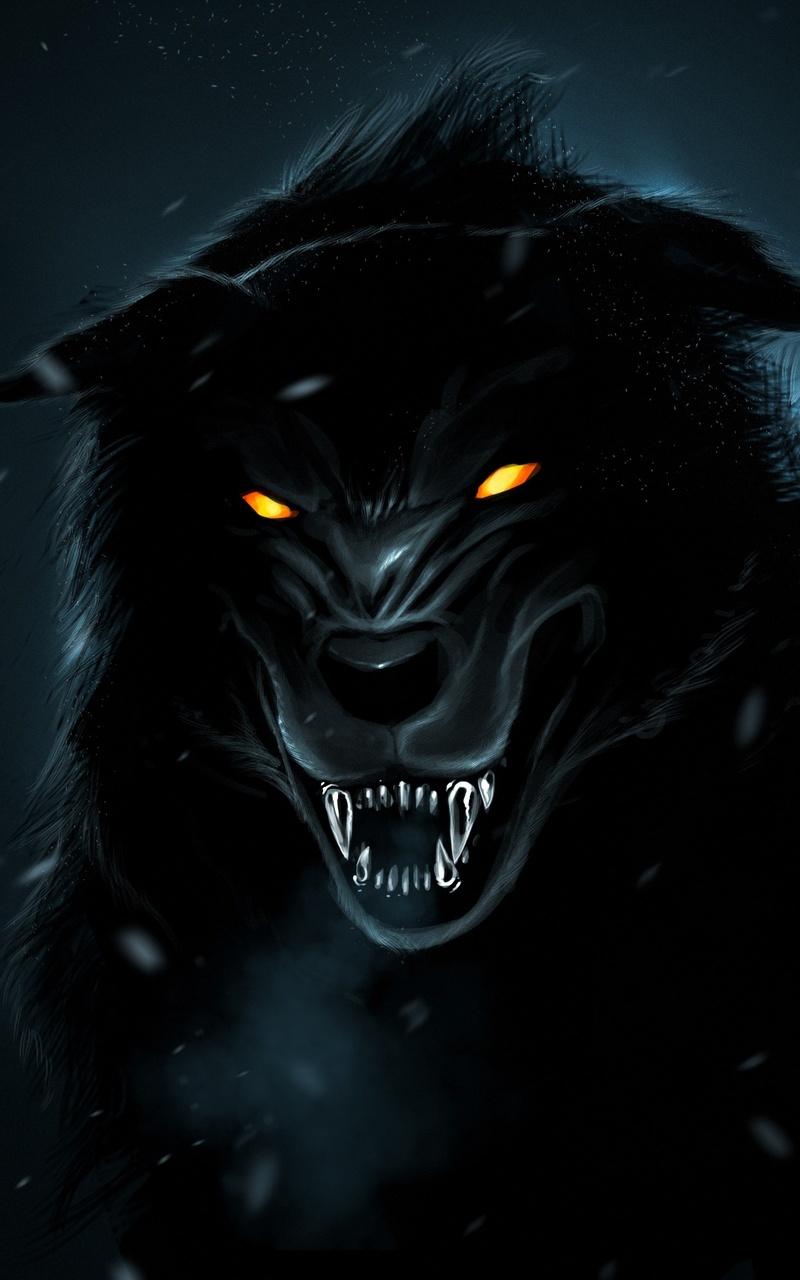 800x1280 Wolf Orange Eyes 4k Nexus Samsung Galaxy Tab Note Android Tablets HD 4k Wallpaper, Image, Background, Photo and Picture