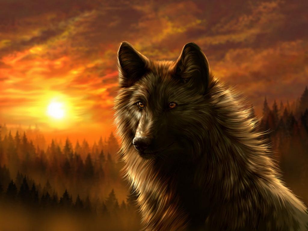 1024x768 Wolf Wallpaper for Windows 10