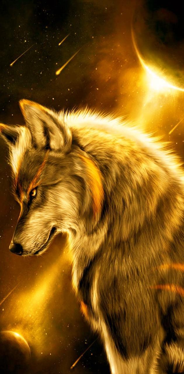 630x1280 Golden Wolf wallpaper