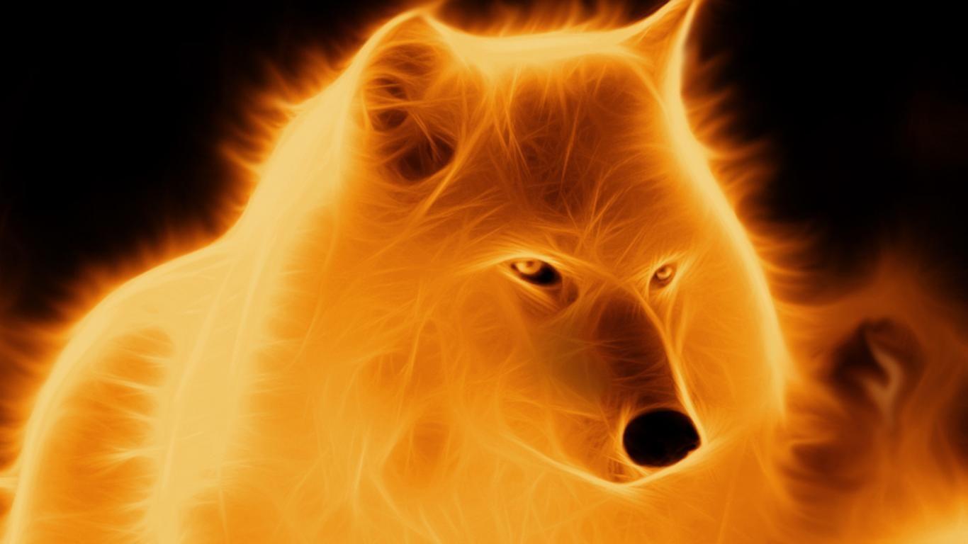 1366x768 Fire Wolf Wallpaper