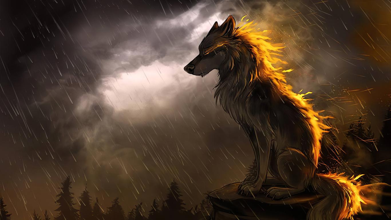 1366x768 Wolf In Soothing Rain 4k 1366x768 Resolution HD 4k Wallpaper, Image, Background, Photo and Picture