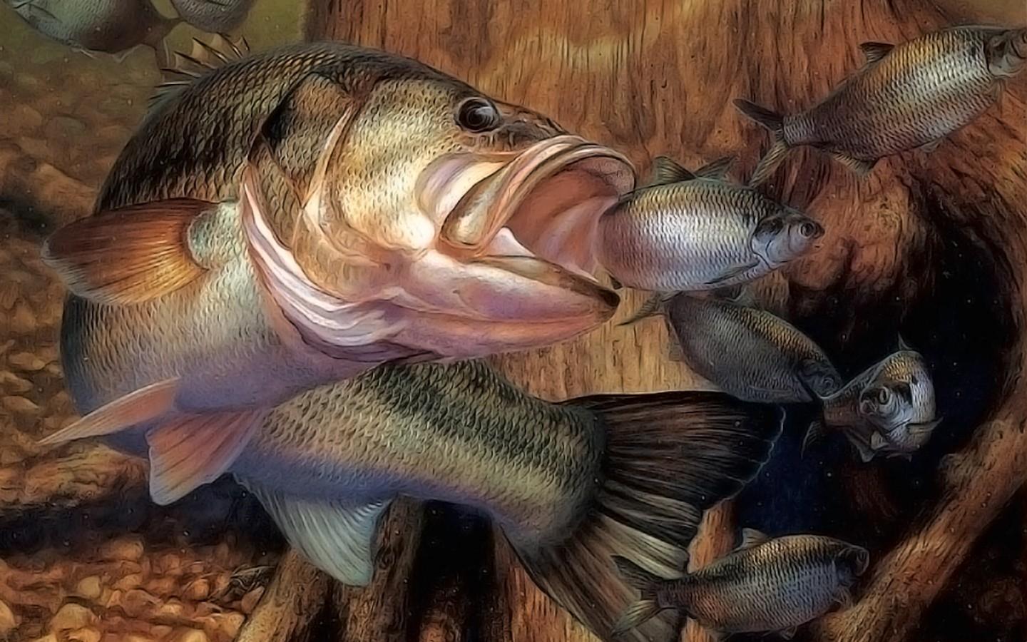 1440x900 Download Wallpaper, Download fishing 1440x900 wallpaper Wallpaper –Free Wallpaper Download