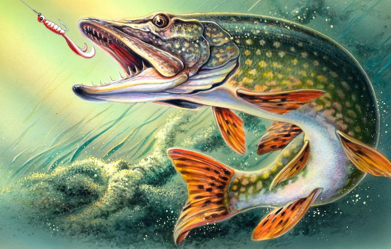 1332x850 Wallpaper figure, fishing, fish, art, hook, online, pike, Fantastic Fishing, free, virtual, fishing simulator with RPG elements image for desktop, section игры