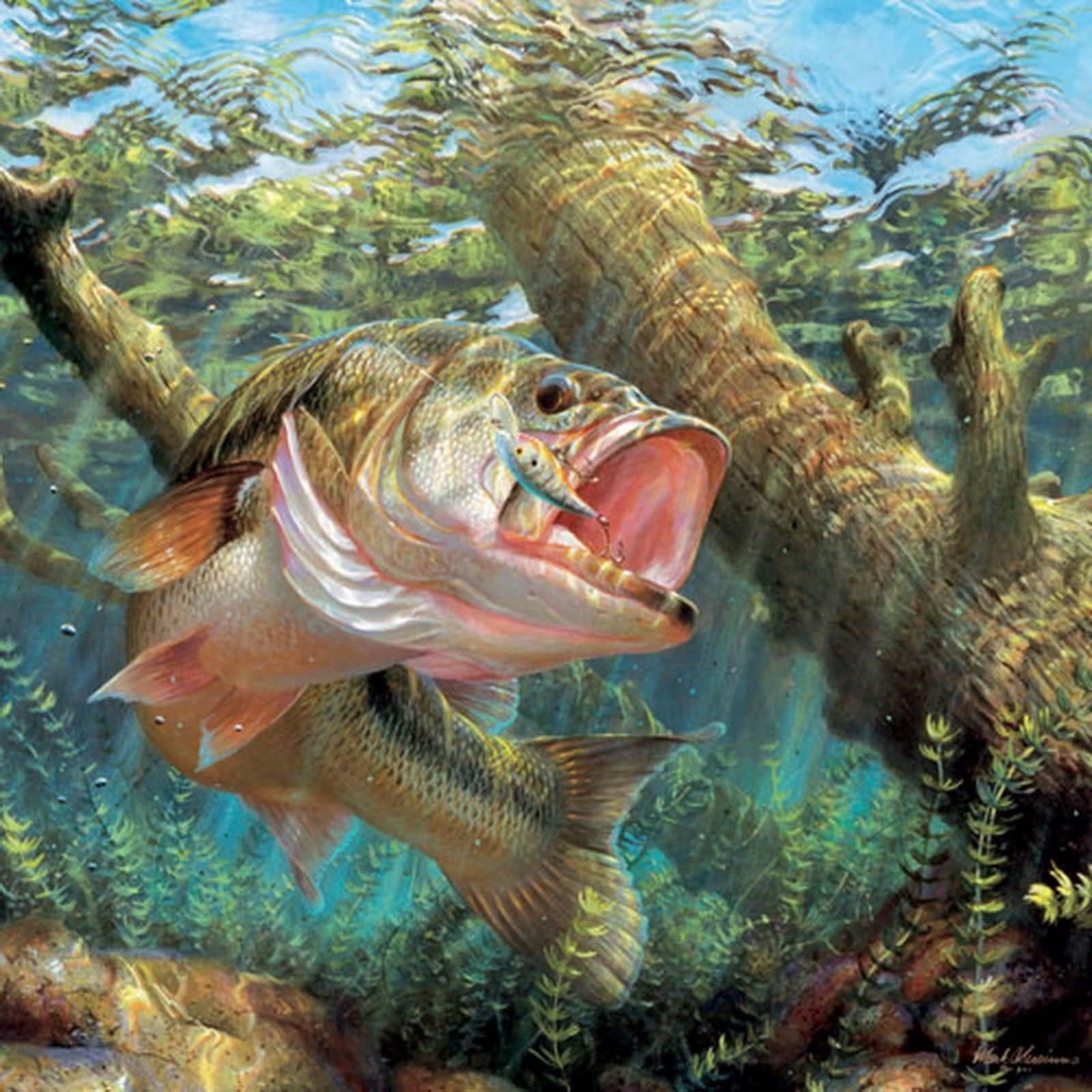 1600x1600 fishing wallpaper 199