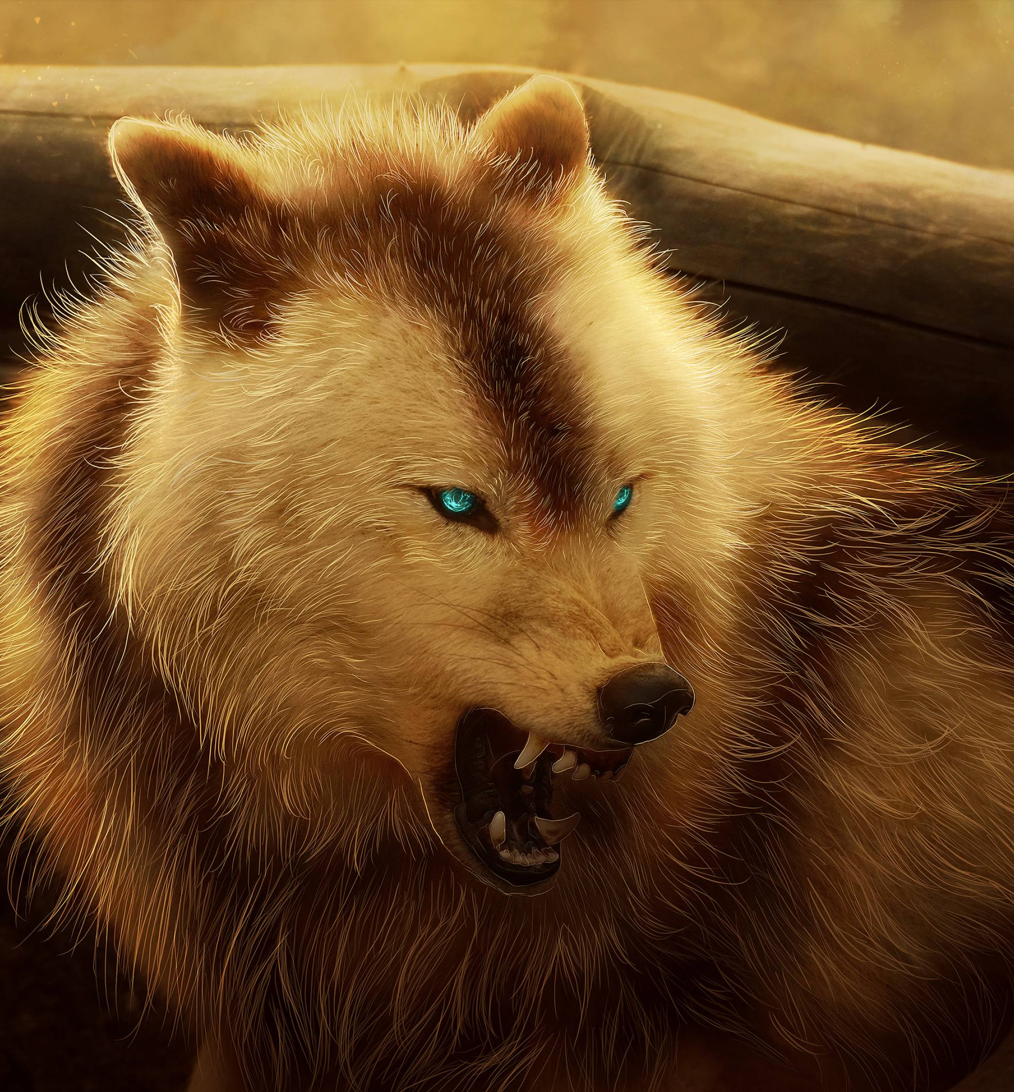 2088x2250 Angry Wolf 2088x2250 Resolution Wallpaper, HD Artist 4K Wallpaper, Image, Photo and Background