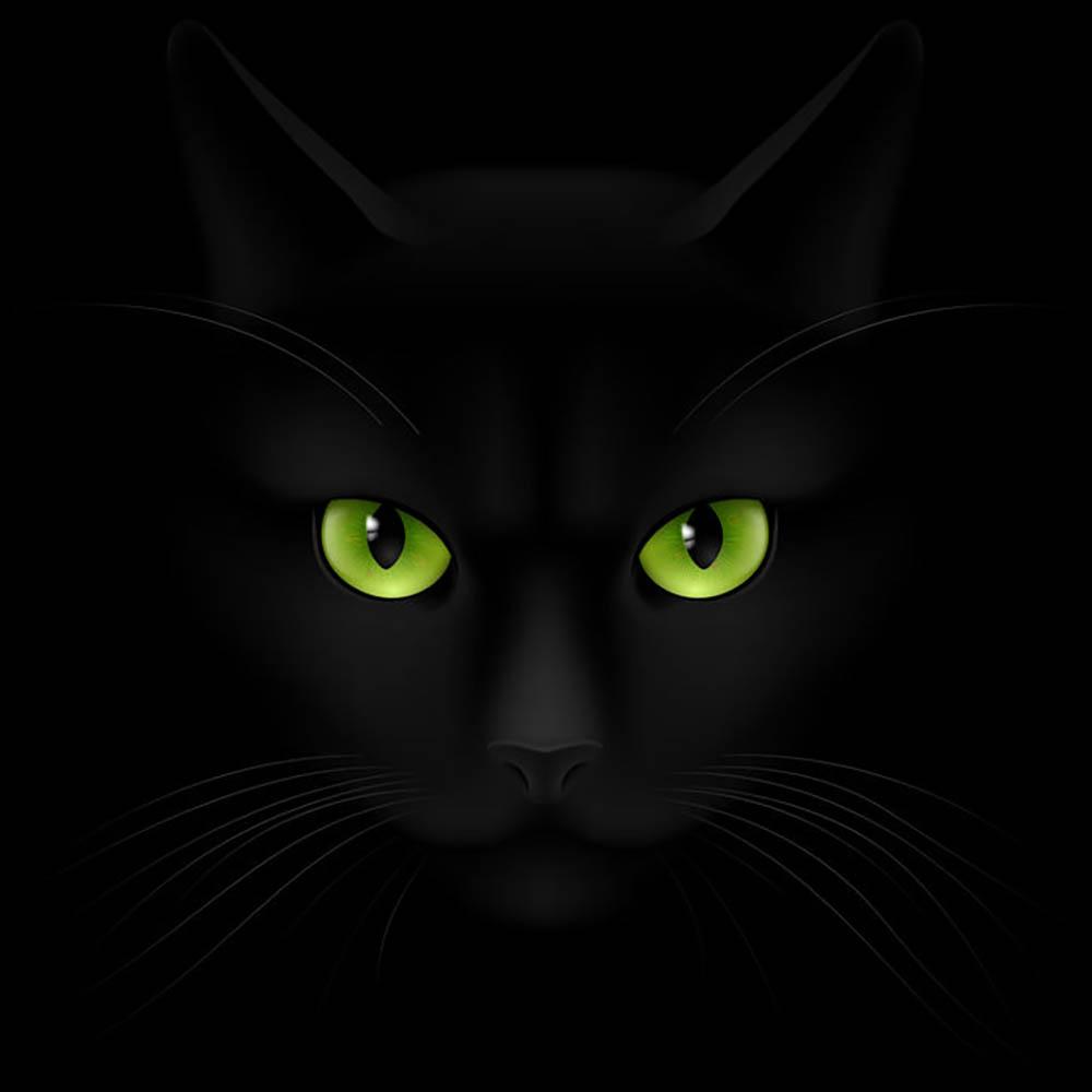 1000x1000 Black cat with green eyes Wall Mural Wallpaper. Canvas Art Rocks