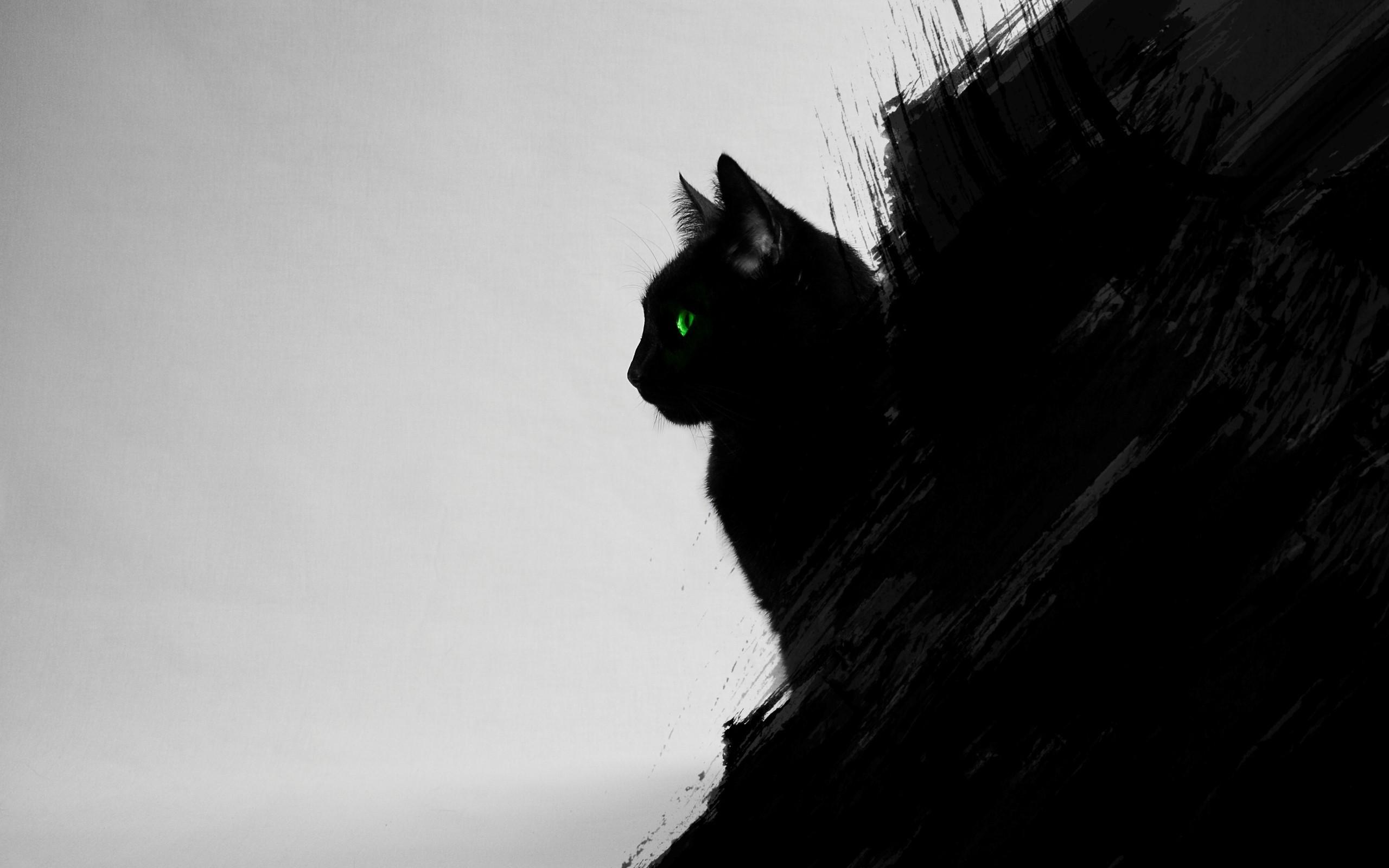 2560x1600 cat black cats animals green eyes artwork digital art black gray wallpaper