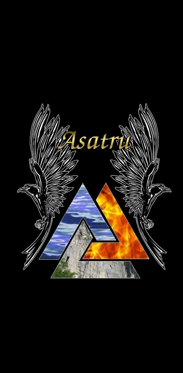 630x1280 Asatru Ravens wallpaper